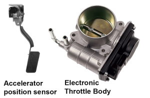 electronic throttle body