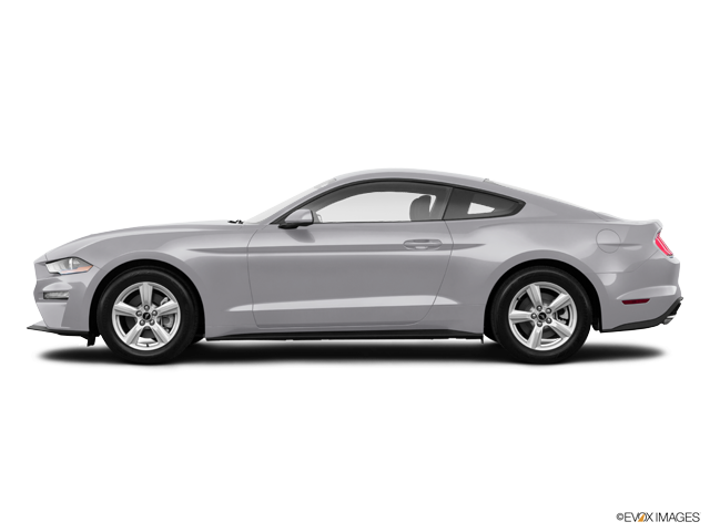 2019 Ford Mustang  EcoBoost Fastback  0-60 Times, Top Speed, Specs, Quarter Mile, and Wallpapers